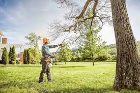 Best Lot and Land Clearing  in Francis, UT