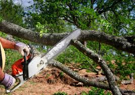 Best Pest Control for Lawns  in Francis, UT